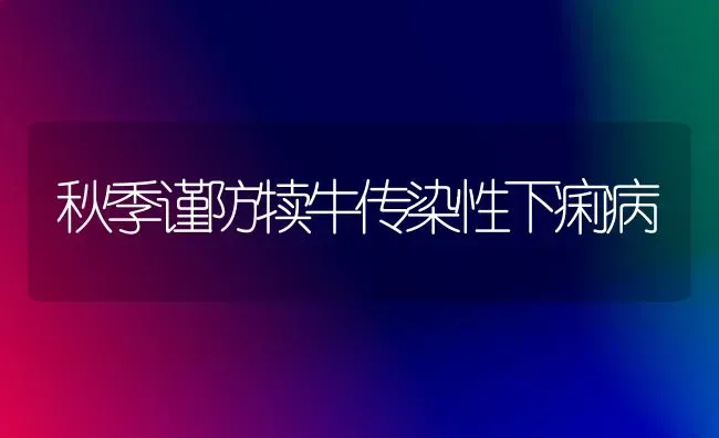 秋季谨防犊牛传染性下痢病 | 养殖知识