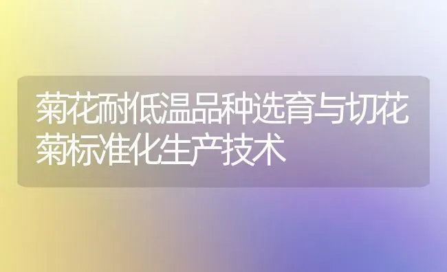菊花耐低温品种选育与切花菊标准化生产技术 | 养殖知识