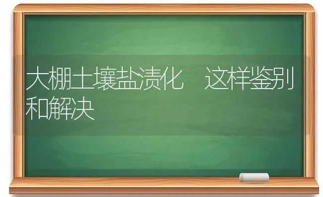 大棚土壤盐渍化 这样鉴别和解决 | 养殖技术大全