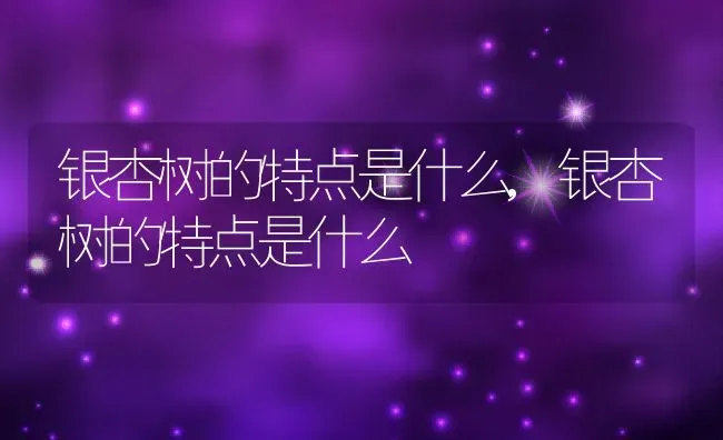银杏树的特点是什么,银杏树的特点是什么 | 养殖科普