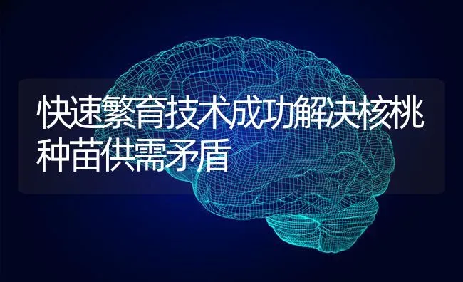 快速繁育技术成功解决核桃种苗供需矛盾 | 养殖知识