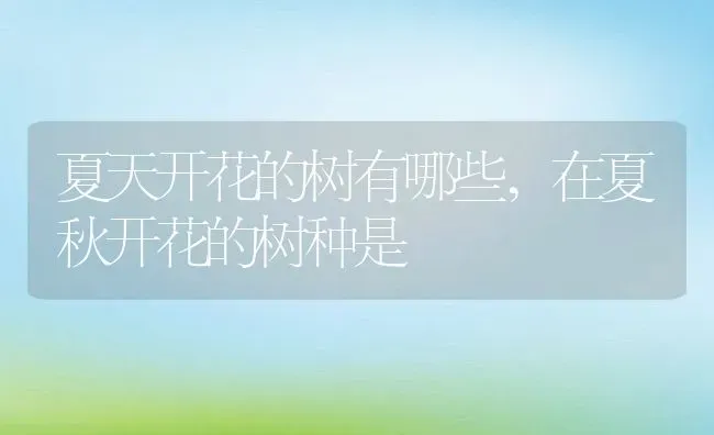 夏天开花的树有哪些,在夏秋开花的树种是 | 养殖学堂