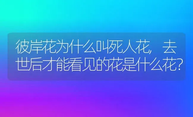 彼岸花为什么叫死人花,去世后才能看见的花是什么花？ | 养殖学堂