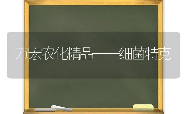 万宏农化精品——细菌特克 | 养殖技术大全