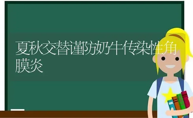 夏秋交替谨防奶牛传染性角膜炎 | 养殖知识