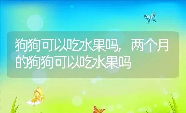 狗狗可以吃水果吗,两个月的狗狗可以吃水果吗 | 养殖科普