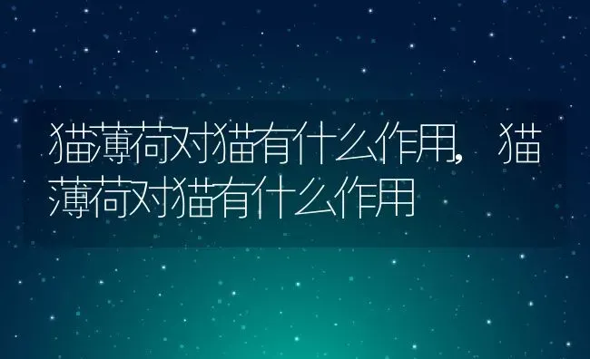 玫瑰花好养吗家养玫瑰花方法与注意事项,两分钟学会玫瑰花养护？ | 养殖科普