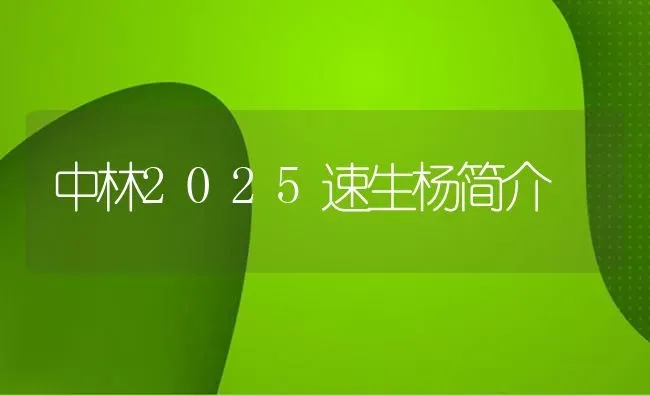 中林2025速生杨简介 | 养殖技术大全