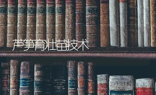 芦笋育壮苗技术 | 养殖技术大全