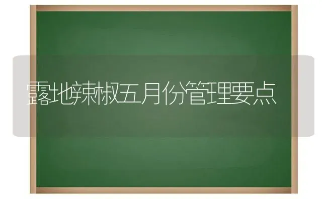 露地辣椒五月份管理要点 | 养殖知识