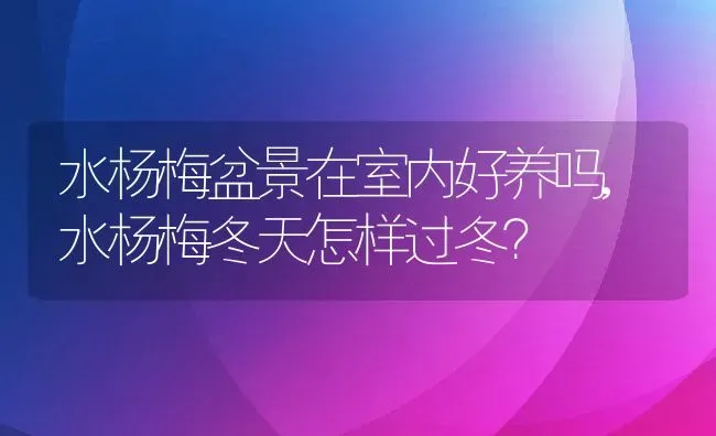 水杨梅盆景在室内好养吗,水杨梅冬天怎样过冬？ | 养殖科普