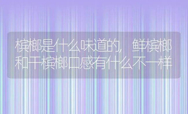 槟榔是什么味道的,鲜槟榔和干槟榔口感有什么不一样 | 养殖学堂