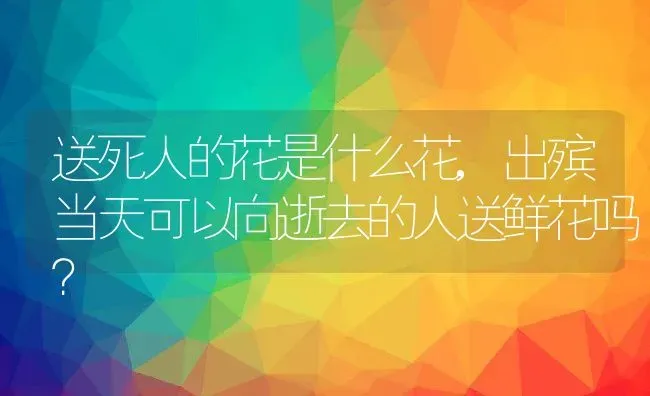 送死人的花是什么花,出殡当天可以向逝去的人送鲜花吗？ | 养殖科普