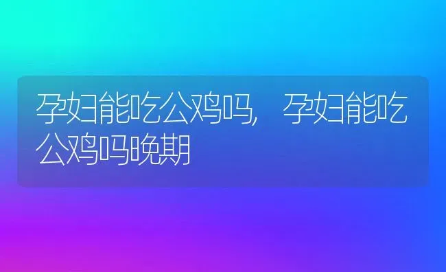 孕妇能吃公鸡吗,孕妇能吃公鸡吗晚期 | 养殖科普