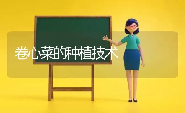 大花萱草 | 养殖技术大全