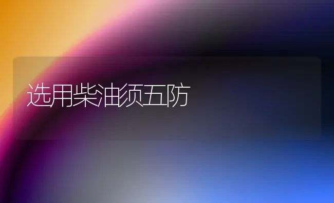 选用柴油须五防 | 养殖知识
