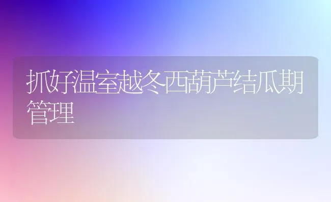 抓好温室越冬西葫芦结瓜期管理 | 养殖技术大全