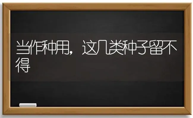 当作种用,这几类种子留不得 | 养殖技术大全