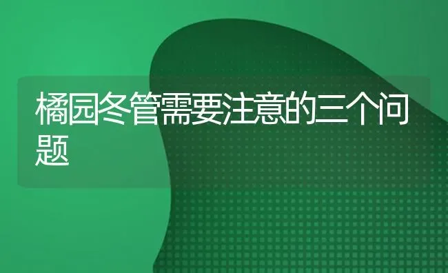 橘园冬管需要注意的三个问题 | 养殖知识