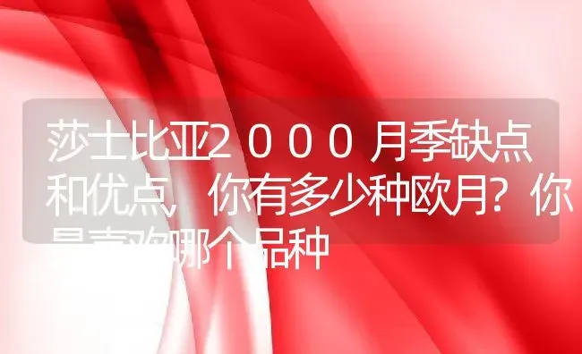 莎士比亚2000月季缺点和优点,你有多少种欧月?你最喜欢哪个品种 | 养殖学堂