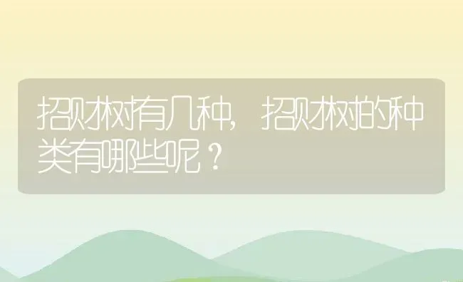 招财树有几种,招财树的种类有哪些呢？ | 养殖科普