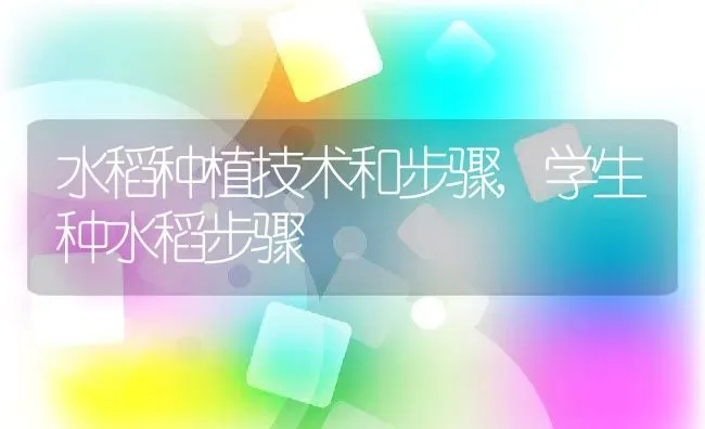 水稻种植技术和步骤,学生种水稻步骤 | 养殖学堂
