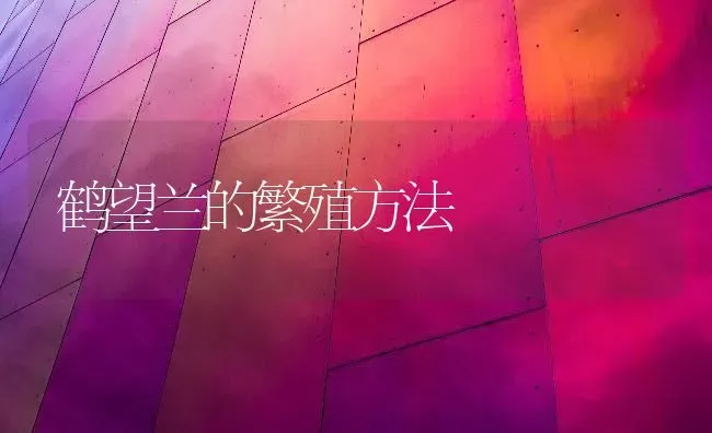 鹤望兰的繁殖方法 | 养殖知识