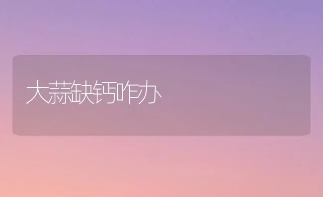 大蒜缺钙咋办 | 养殖知识