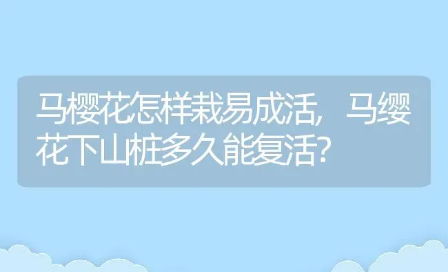 马樱花怎样栽易成活,马缨花下山桩多久能复活？ | 养殖科普