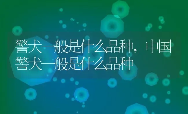 警犬一般是什么品种,中国警犬一般是什么品种 | 养殖资料