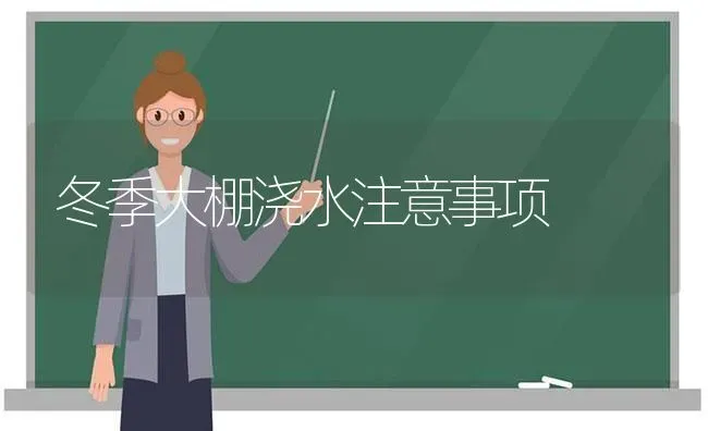 冬季大棚浇水注意事项 | 养殖技术大全