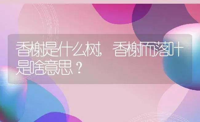 香榭是什么树,香榭而落叶是啥意思？ | 养殖学堂