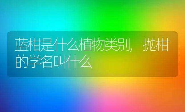 蓝柑是什么植物类别,抛柑的学名叫什么 | 养殖学堂