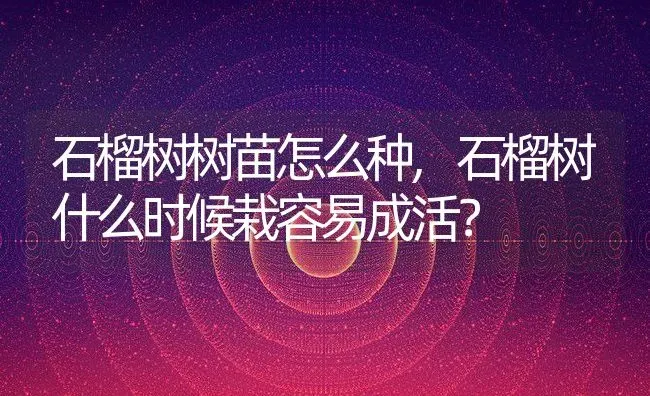 石榴树树苗怎么种,石榴树什么时候栽容易成活？ | 养殖科普