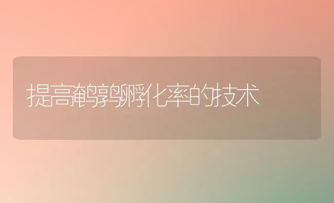 提高鹌鹑孵化率的技术 | 养殖知识