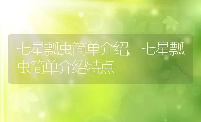 七星瓢虫简单介绍,七星瓢虫简单介绍特点 | 养殖资料