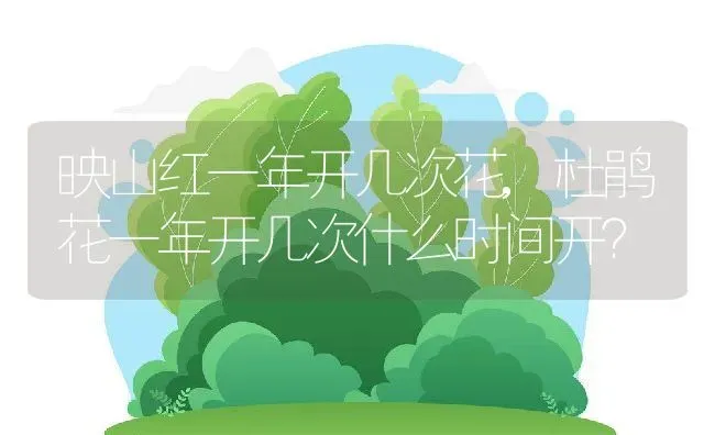 映山红一年开几次花,杜鹃花一年开几次什么时间开？ | 养殖科普