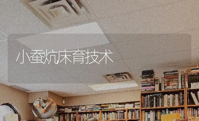 小蚕炕床育技术 | 养殖知识