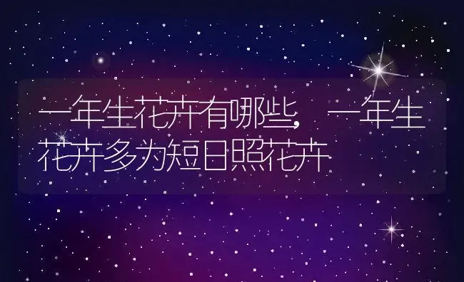 一年生花卉有哪些,一年生花卉多为短日照花卉 | 养殖学堂