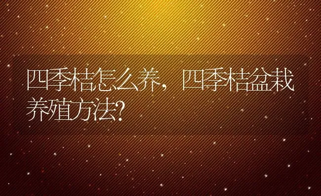 四季桔怎么养,四季桔盆栽养殖方法？ | 养殖科普