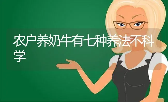 农户养奶牛有七种养法不科学 | 养殖技术大全