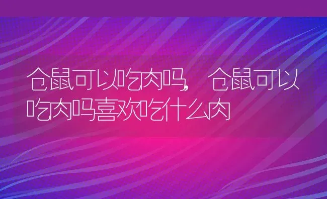 仓鼠可以吃肉吗,仓鼠可以吃肉吗喜欢吃什么肉 | 养殖资料