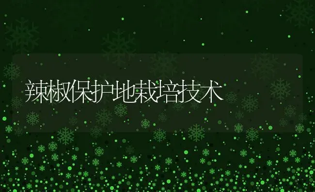辣椒保护地栽培技术 | 养殖技术大全
