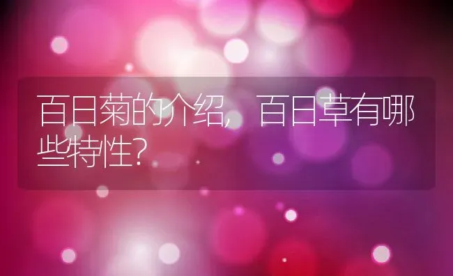 百日菊的介绍,百日草有哪些特性？ | 养殖科普