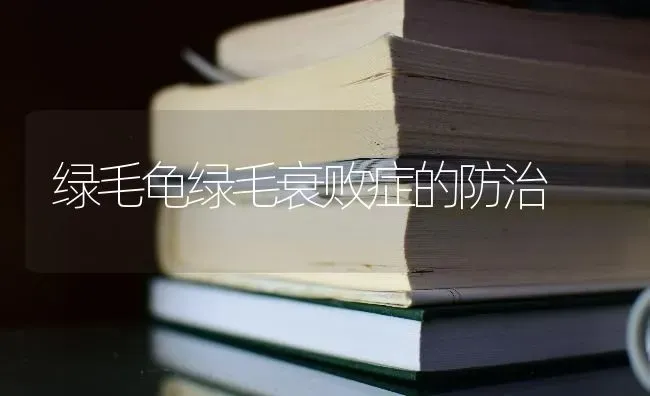 绿毛龟绿毛衰败症的防治 | 养殖知识