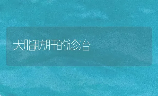 犬脂肪肝的诊治 | 养殖技术大全