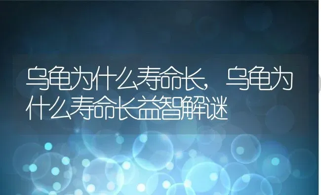 乌龟为什么寿命长,乌龟为什么寿命长益智解谜 | 养殖资料