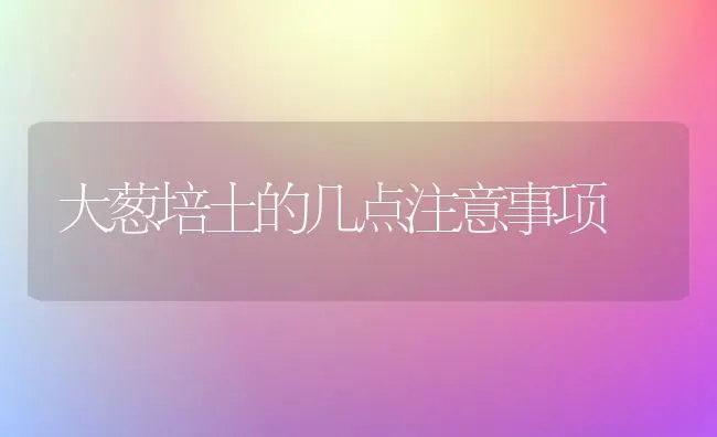 大葱培土的几点注意事项 | 养殖知识