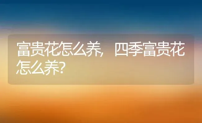 富贵花怎么养,四季富贵花怎么养？ | 养殖科普