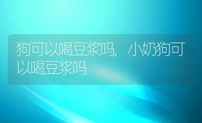 狗可以喝豆浆吗,小奶狗可以喝豆浆吗 | 养殖科普